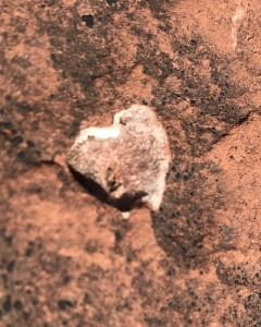 Natural Quartz Heart in Red Rock